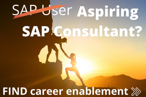 Dreaming-about-an-SAP-Consulting-Career.png